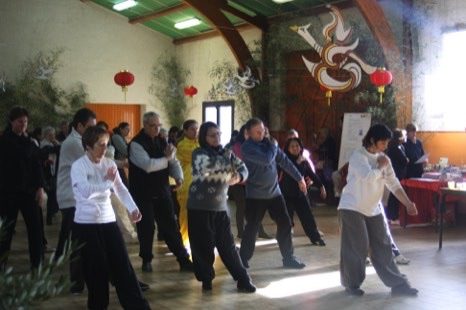 Senior fitness and Qi Gong class outdoors