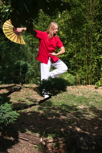 Galerie Tai Chi & armes — image 4