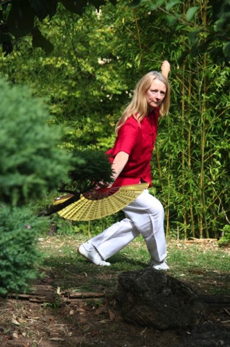 Galerie Tai Chi & armes — image 5