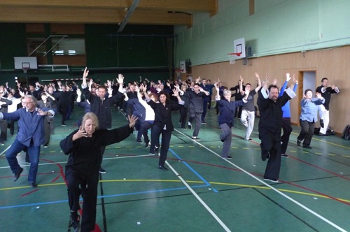 Galerie Tai Chi & armes — image 17